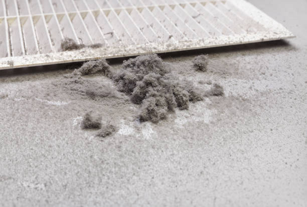 Best HVAC Maintenance and Cleaning  in White House, TN