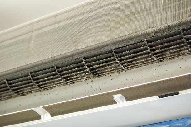 Best Air Duct Cleaning Company Near Me  in White House, TN